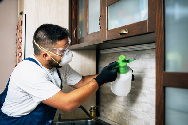 Best Wildlife Control Services  in Laguna Park, TX