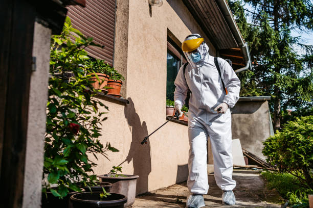 Best Best Pest Control Companies  in Laguna Park, TX