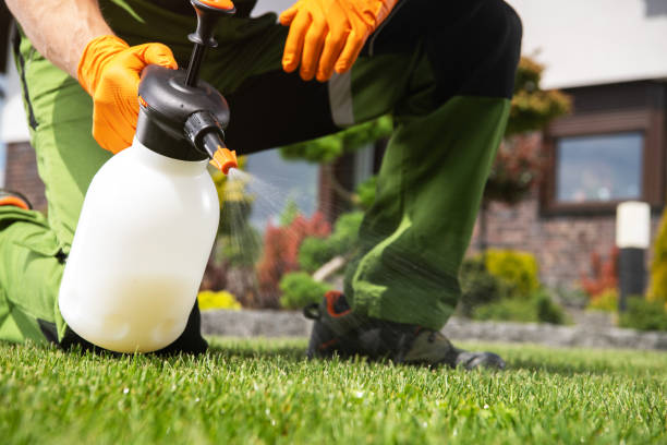 Best Best Pest Control Companies  in Laguna Park, TX