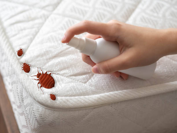Best Residential Pest Control  in Laguna Park, TX