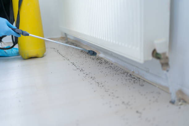 Best Rodent Control Near Me  in Laguna Park, TX