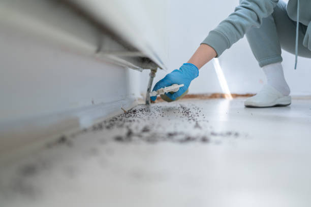 Best Affordable Pest Control Services  in Laguna Park, TX